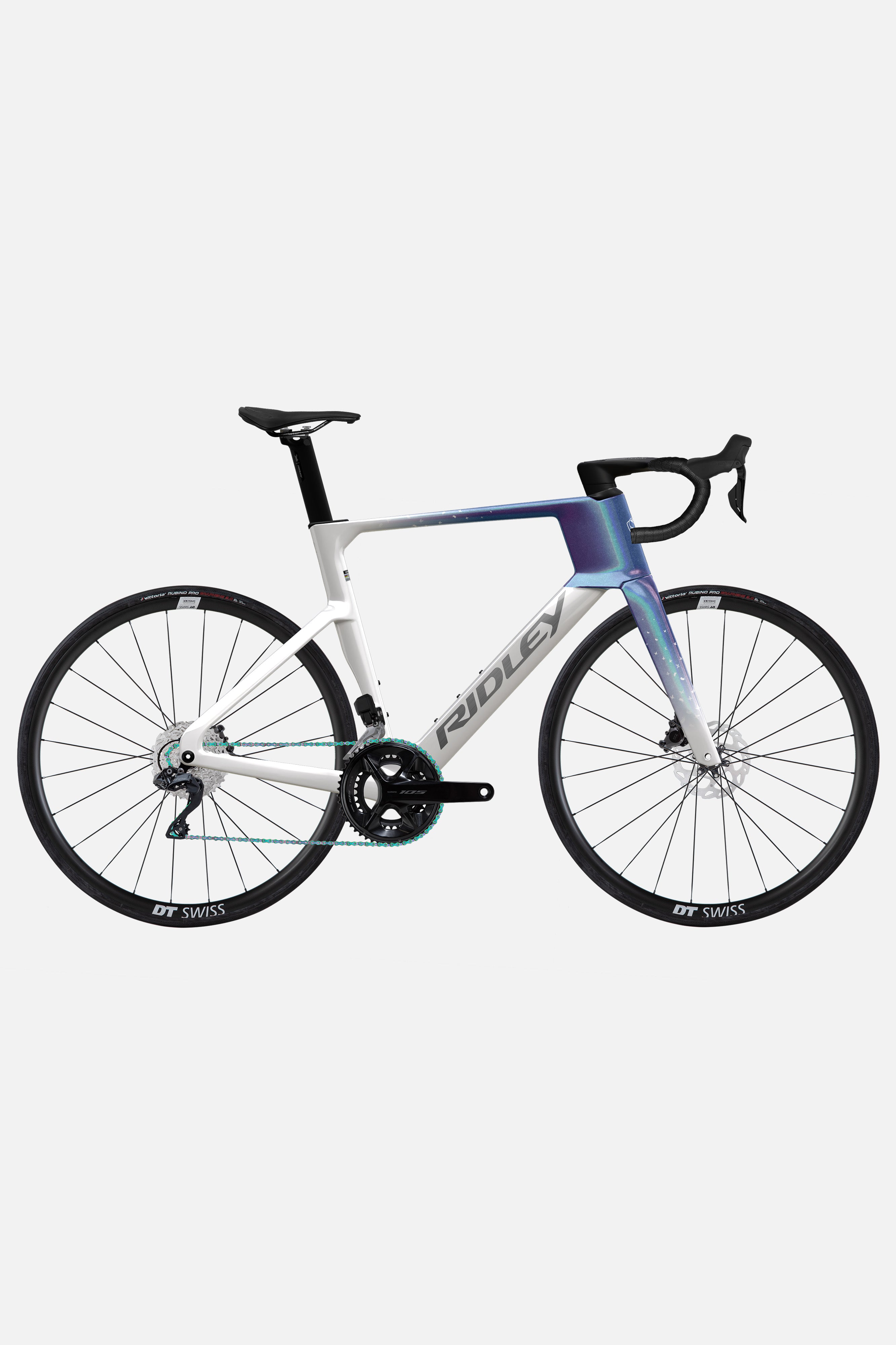 TML x RIDLEY NOAH - 1