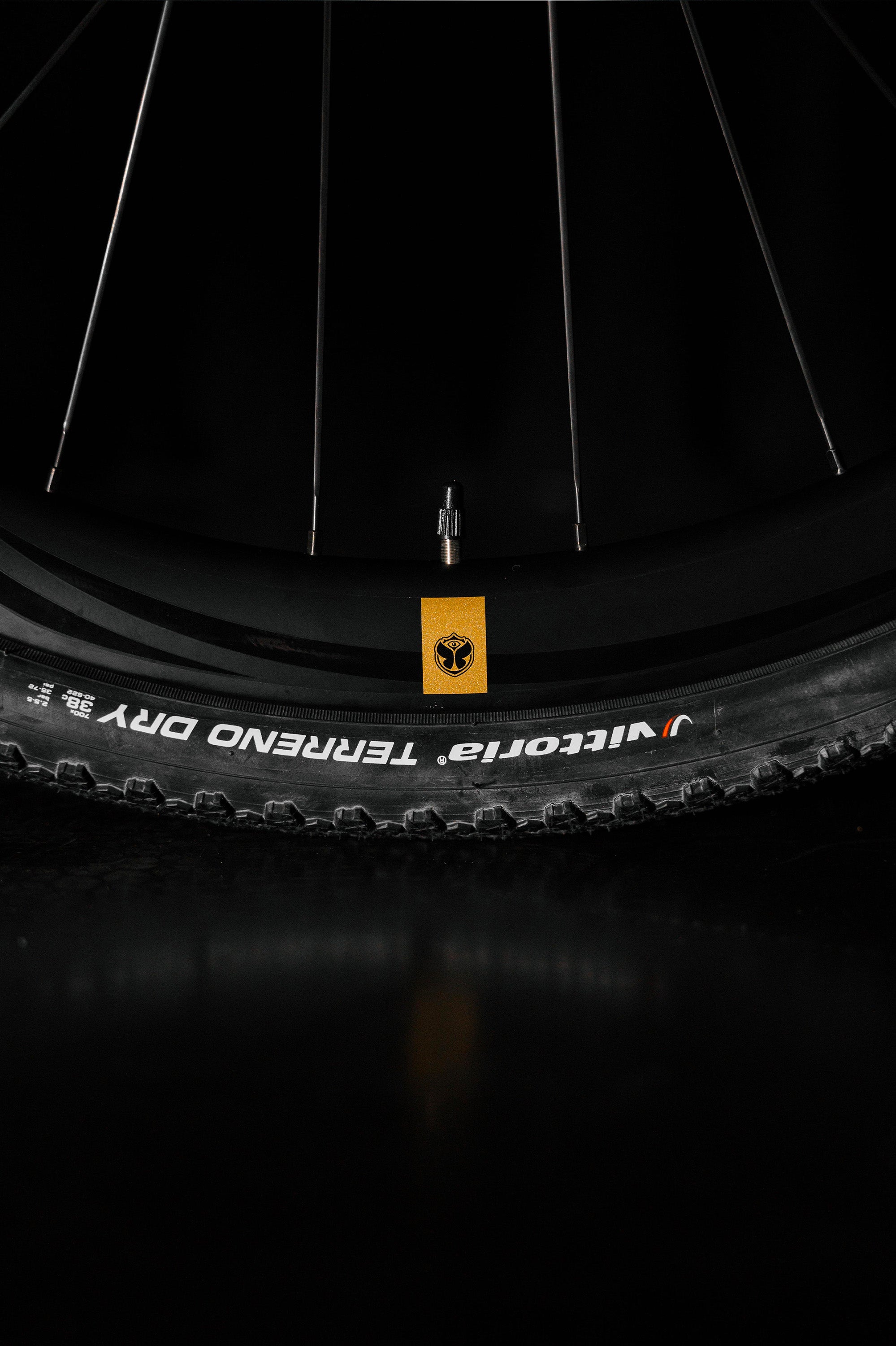 TML x RIDLEY INVENIO GRAVEL CARBON - 10